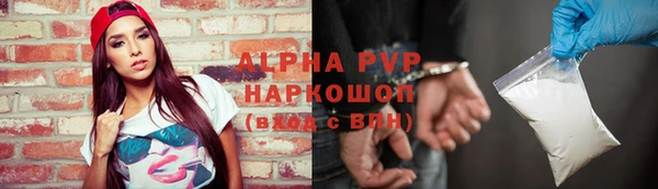 прущий лед Алзамай