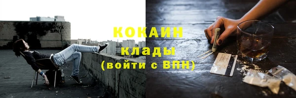 прущий лед Алзамай