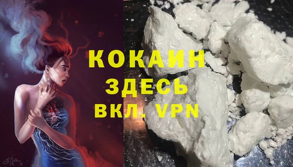 прущий лед Алзамай